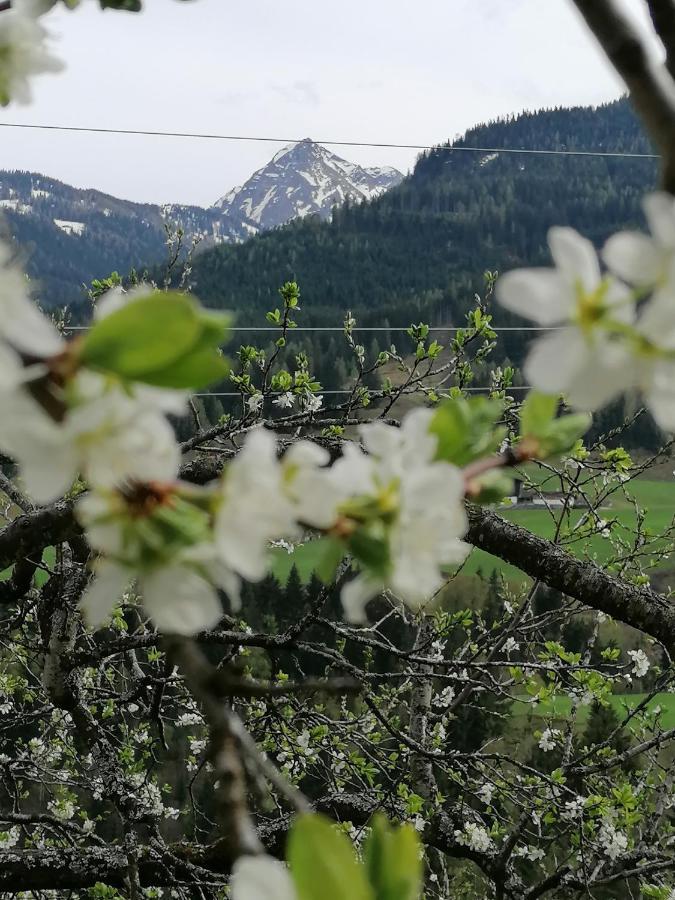 Ferienwohnung Weissacher Lend Екстер'єр фото